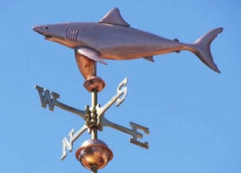 westcoastweathervanes.com-Grand-requin-blanc-complet-1semaine