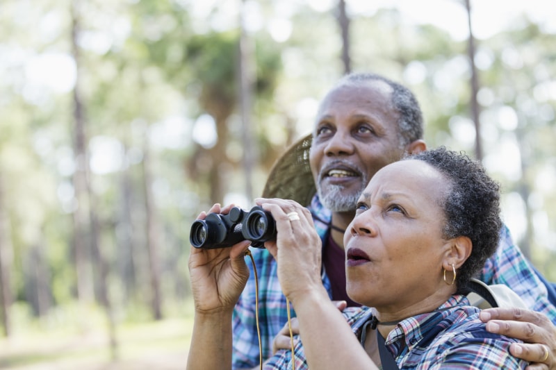 couple de seniors observant les oiseaux ensemble