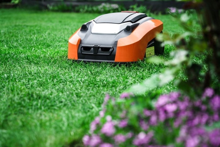 Tondeuse à gazon robotisée dans le jardin.