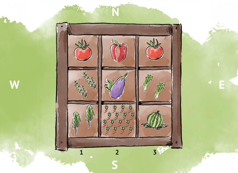 Une illustration de l'aménagement d'un potager en pieds carrés.