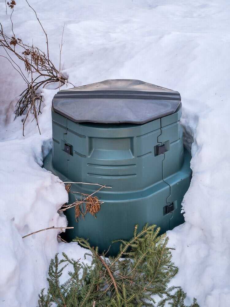 25 façons de profiter de votre jardin cet hiver