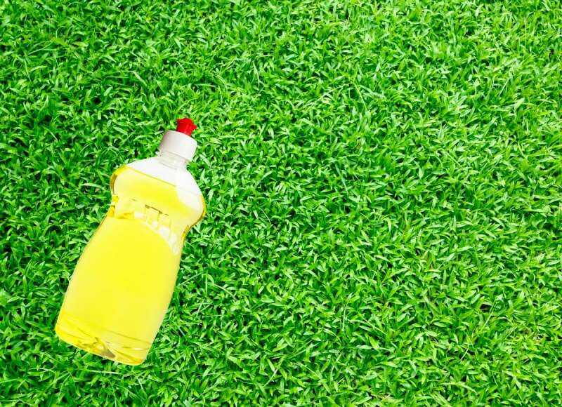 Bouteille de liquide vaisselle sur l'herbe