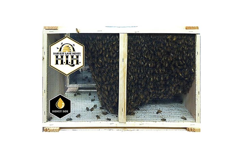 Choses étranges que vous ne saviez pas Tractor Supply Co. vend des abeilles optionnelles vivantes