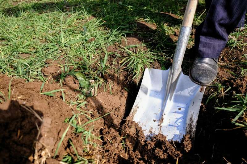 Creuser dans l'herbe